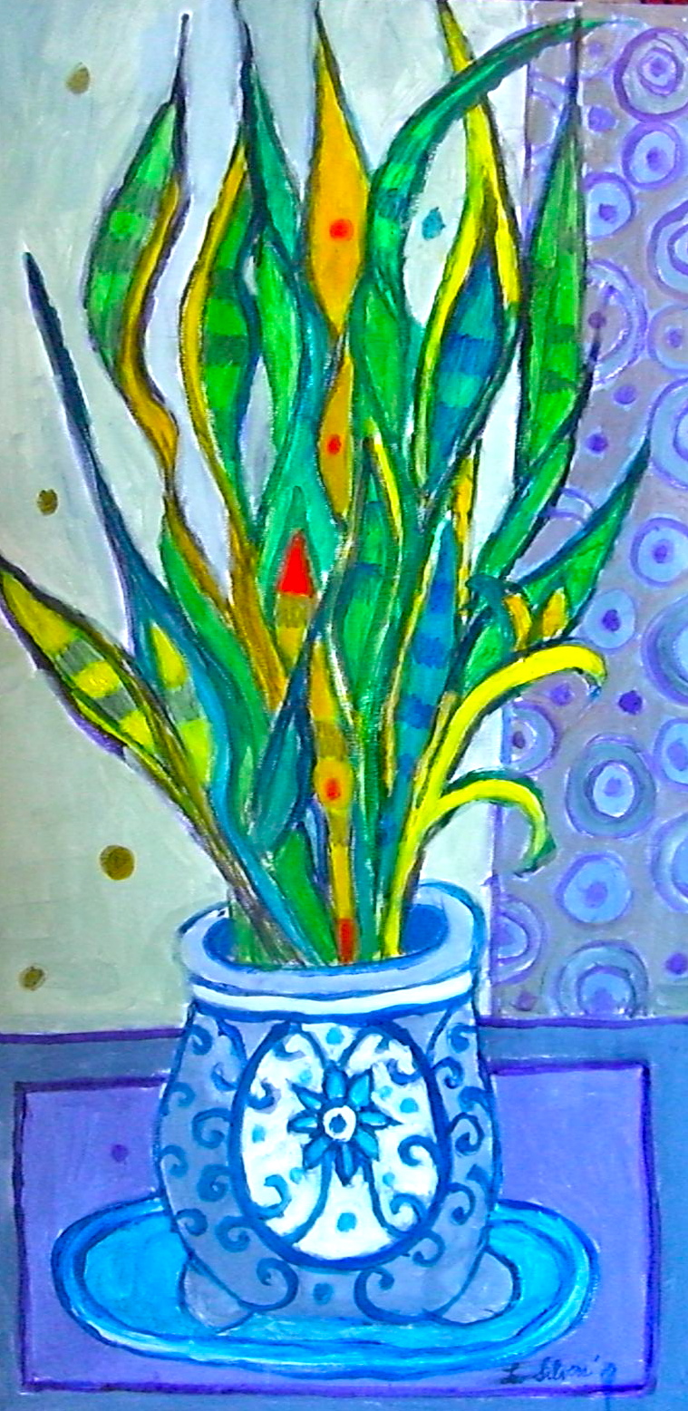 Snake Plant in Blue Planter